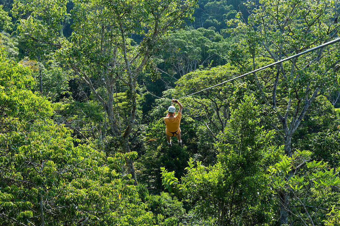 Mann gleitet an einer Seilrutsche über Baumwipfel im Regenwald, Golfito, Puntarenas, Costa Rica