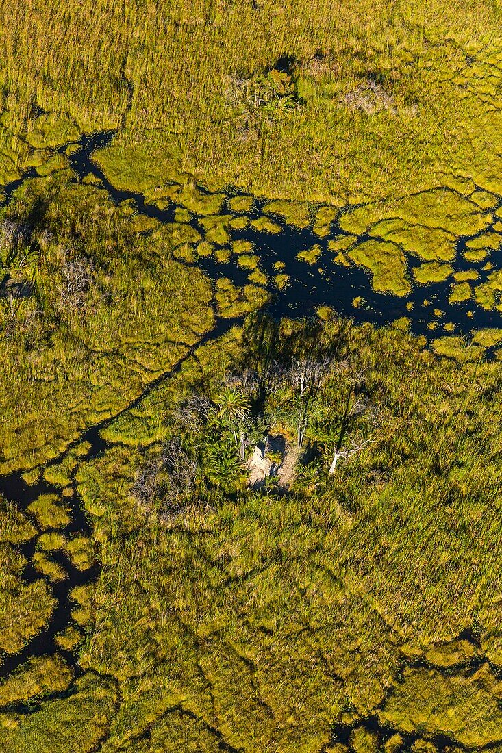 Okavango Delta, Botswana, Africa.