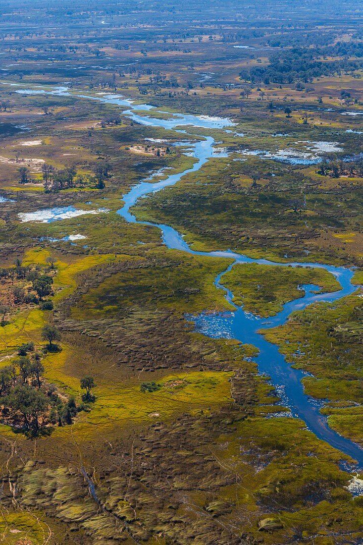 Okavango Delta, Botswana, Africa.