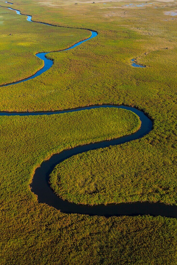 Okavango Delta, Botswana, Africa.