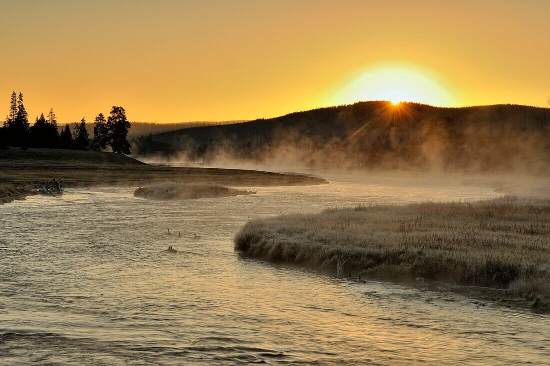 Sunrise on the Madison River, Yellowstone NP, Wyoming, USA.