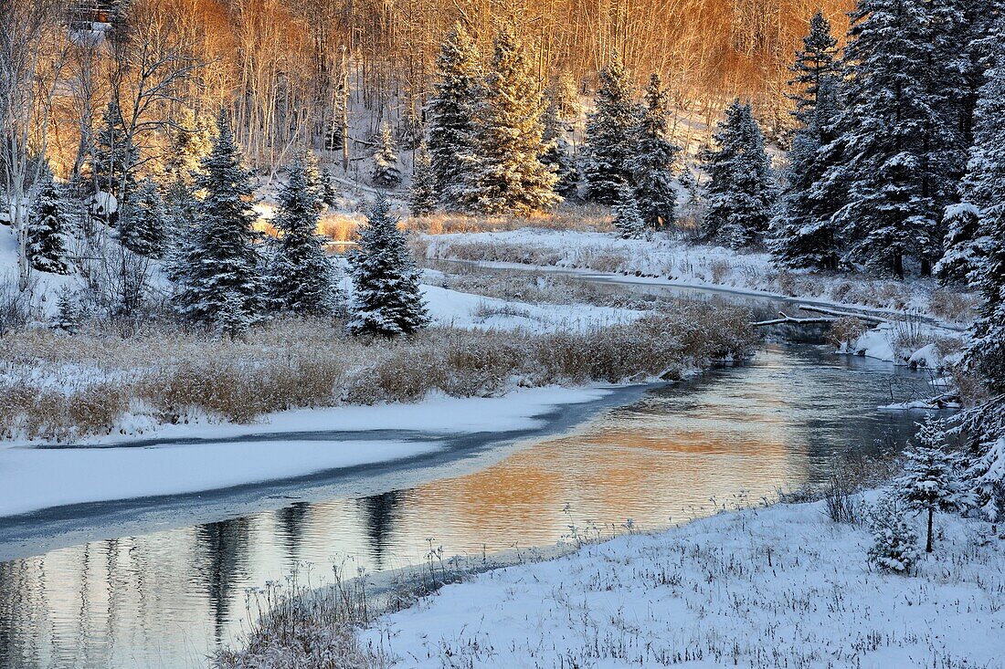 Junction Creek in early winter with a dusting of fresh snow, Greater Sudbury (Lively), Ontario, Canada