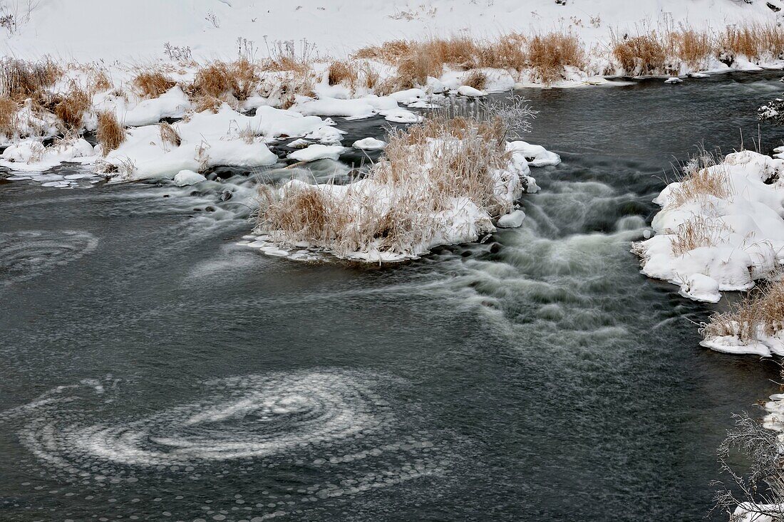 Swirling ice cakes in Junction Creek in early winter with a dusting of fresh snow, Greater Sudbury (Lively), Ontario, Canada.