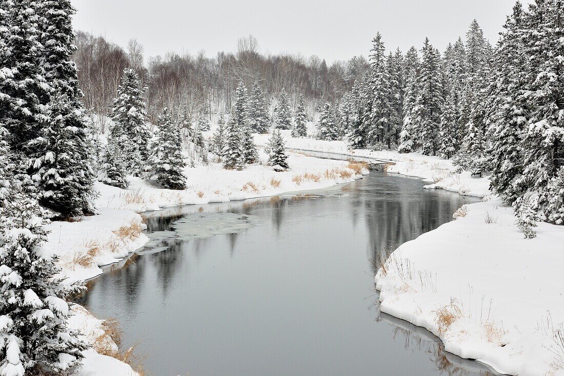 Open water of Junction Creek with fresh snow, Greater Sudbury (Lively), Ontario, Canada.