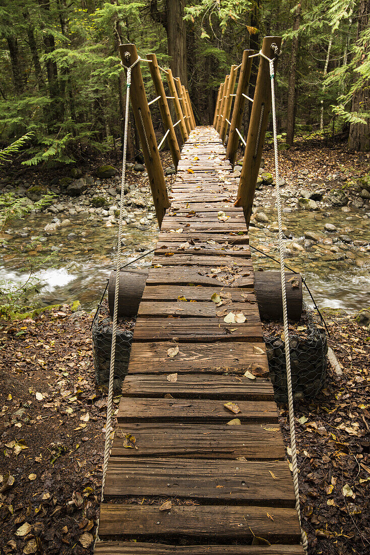 foot bridge over a stream in a forest near Whistler, BC, Canada.