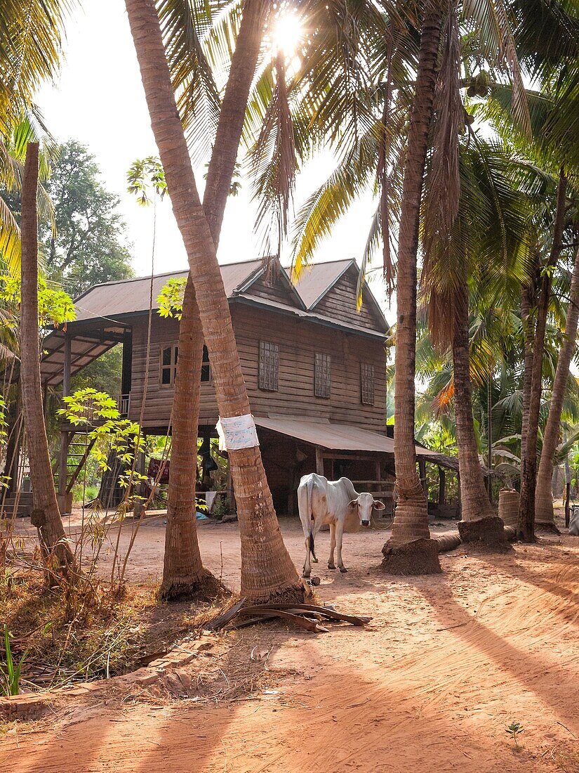 House at the Country Side. Siem Reap. Cambodia.