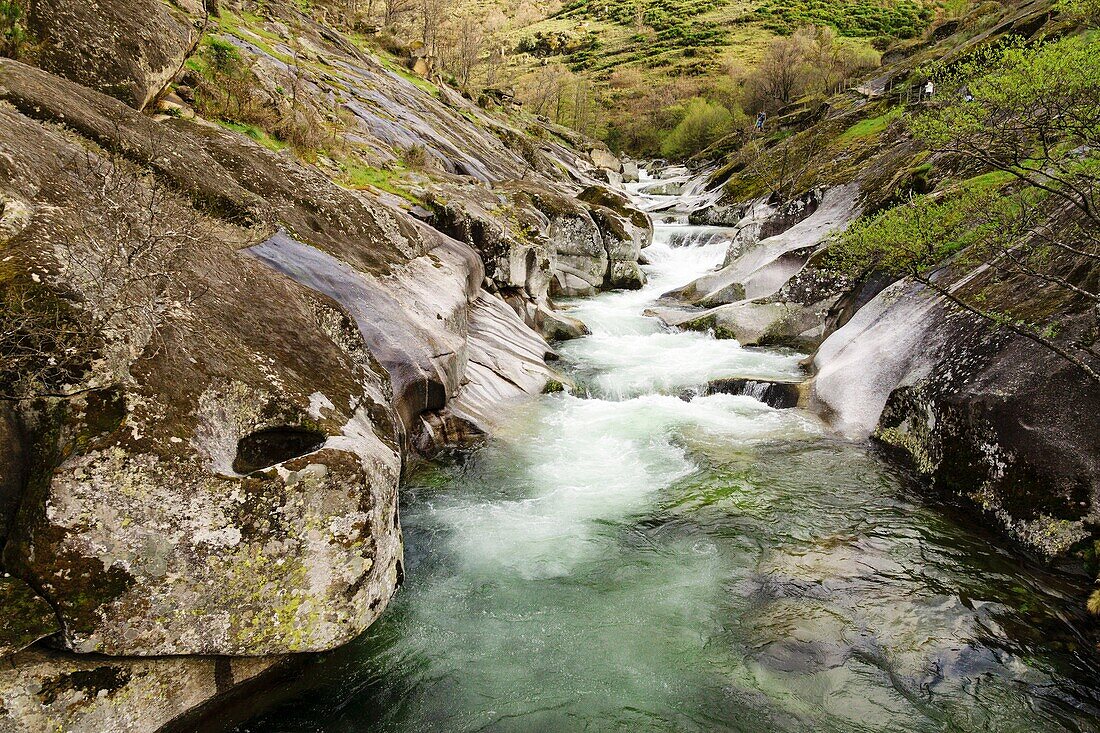 los Pilones, Naturschutzgebiet Garganta de los Infiernos -Schlucht der Hölle-, sah Tormantos, Jerte-Tal, Caceres, Extremadura, Spanien, Europa