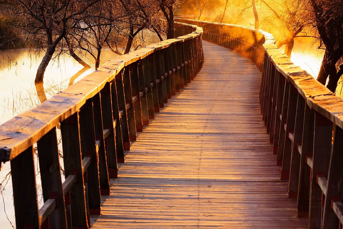 Tablas de Daimiel Nationalpark, Ciudad Real, Kastilien-La Mancha, Spanien, Europa