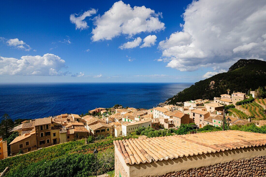 Banyalbufar. Naturpark der Sierra de Tramuntana. Mallorca. Balearische Inseln. Spanien