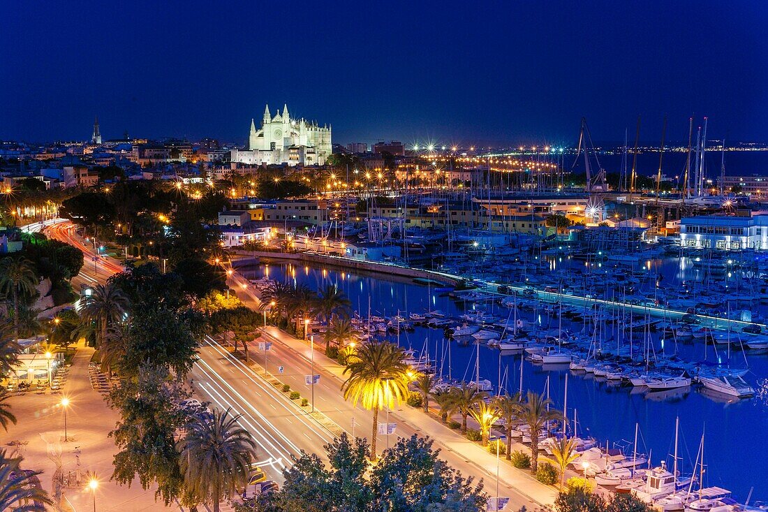 Hafen von Palma und Kathedrale, mallorca, Balearen, spanien, europa