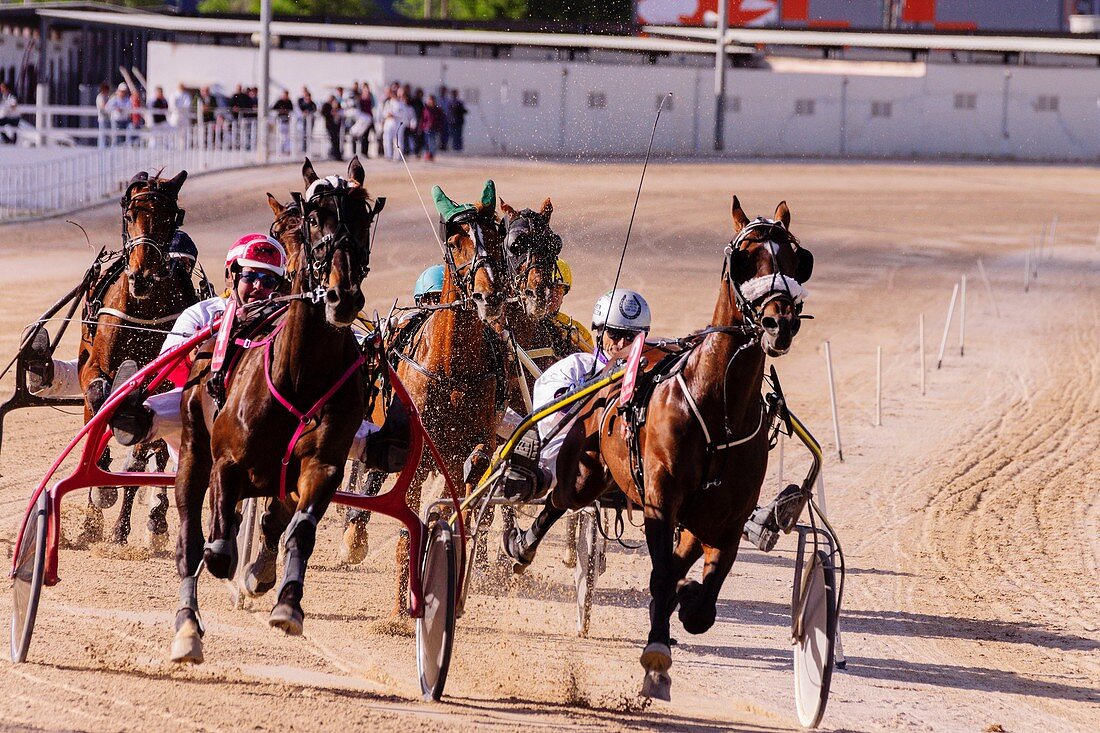 Großer Preis des Pferdesports, Pferderennbahn Son Pardo, Palma, Mallorca, Balearen, Spanien, Europa