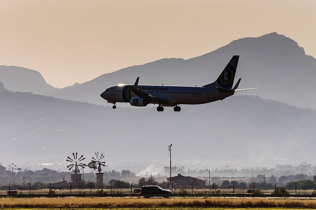 flugzeug auf feld, Sant Jordi, gemeinde Palma, Mallorca, Balearen, spanien, europa