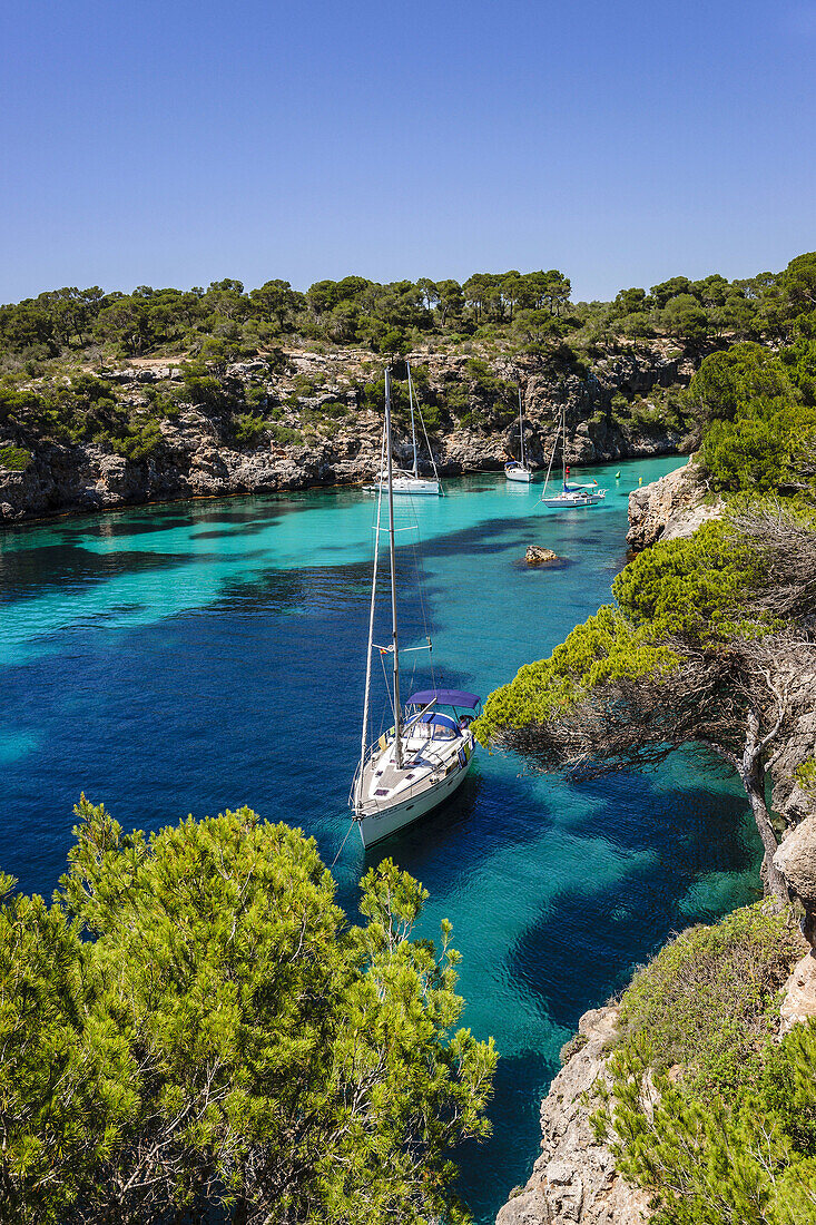 Yachten vor Anker, Cala Pi, Llucmajor, Region Migjorn. Mallorca. Balearische Inseln. Spanien