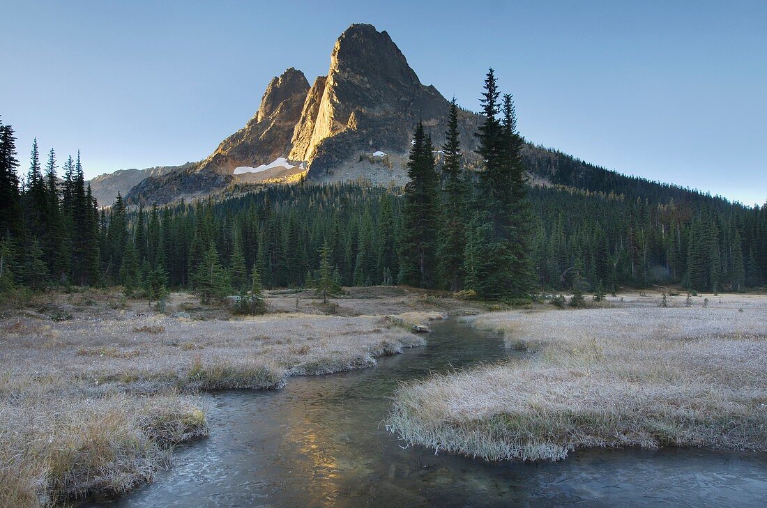 Liberty Bell Mountain at sunrise from meadows of Washington Pass, North Cascades Washington.