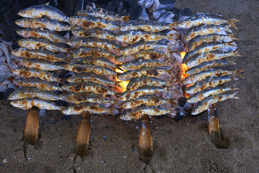 Benalmadena, Grilled sardines, Espeto de Sardinas, Malaga. Andalusia, Spain.