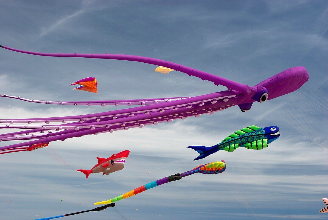 Kites in Malvarrosa beach, Valencia, Spain