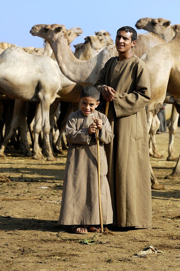 'Camel Market; Camel Market outside of Cairo; Camelus Dromedarius; Father and Son; Auction; Public Sale; Egypt.'