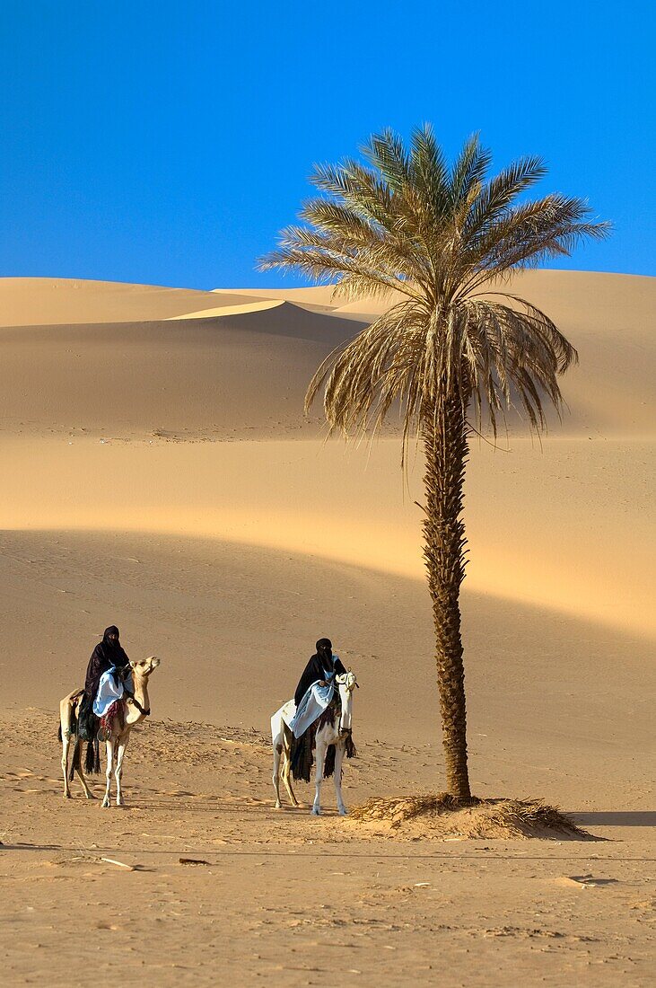 'Tuaregs riding Camels; Libyan Arab Jamahiriya; Libyan Desert.'