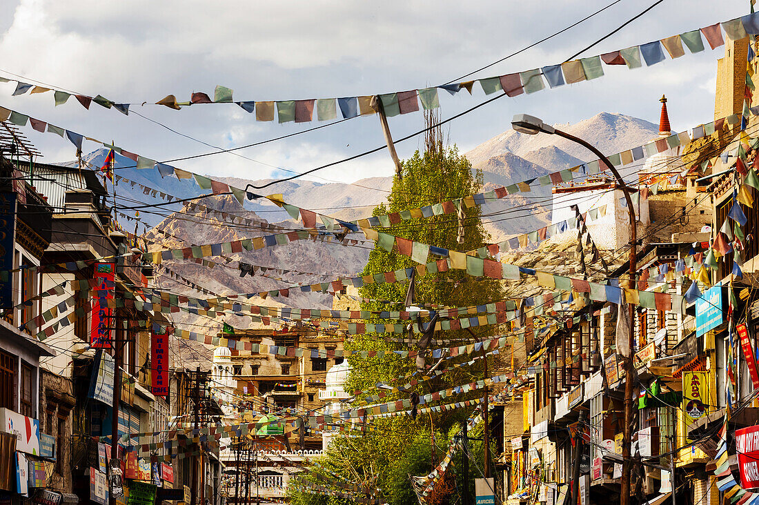 Main Bazaar Road, old Leh, Ladakh, Jammu and Kashmir State, India.