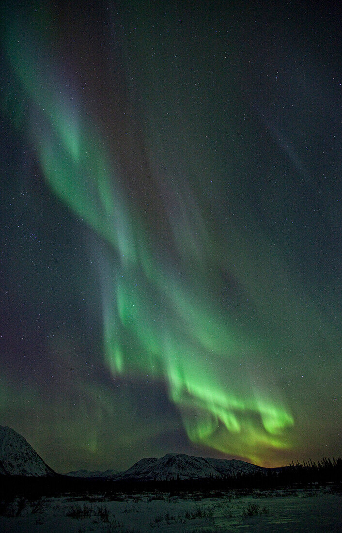 Aurora Borealis Or Northern Lights Above The Mountains Near Whitehorse, Yukon.
