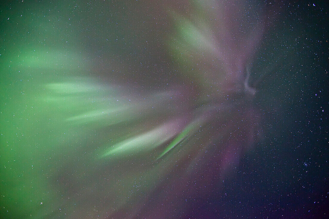 Aurora Borealis Or Northern Lights Above Whitehorse, Yukon.
