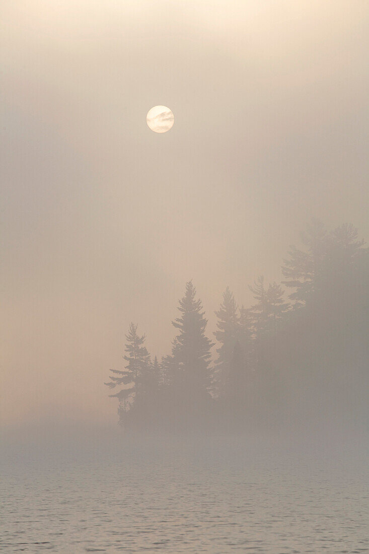 Sunrise Over A Lake On A Misty Morning, Algonquin Park, Ontario