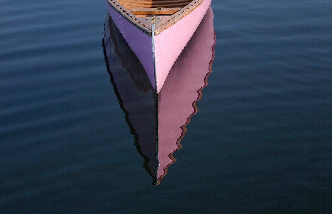 Bow Of Pink Canoe Floating In Lake, Algonquin Park, Ontario, Canada