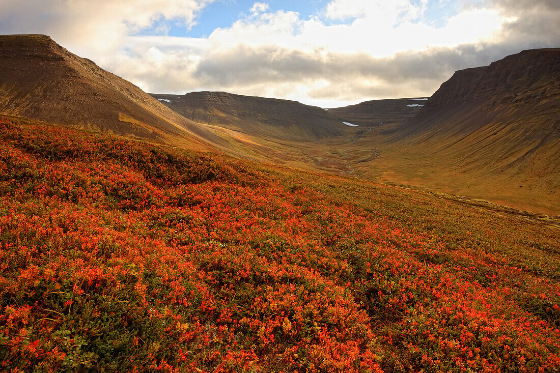 Unnamed Valley Along The Road To Thingeyri, Iceland