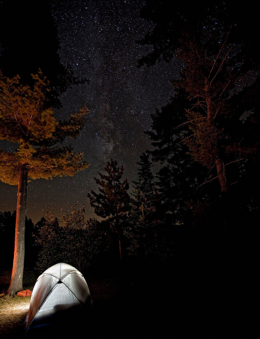Tent Lit From Inside With Milky Way Above Seen Through Trees In Algonquin Provincial Park, Ontario.