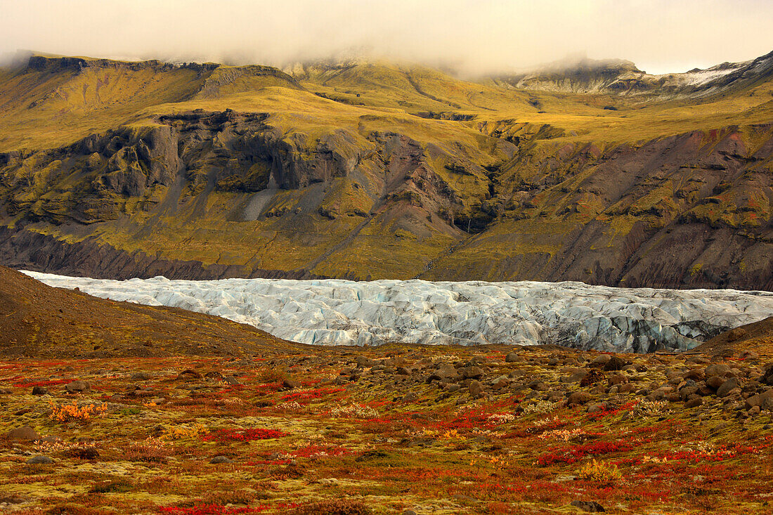 Tundra In Fall Colours With A Glacier Running Through One Of The Valleys In Skaftafell National Park, Iceland