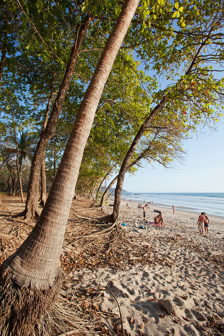 'Playa Santa Teresa (Santa Teresa Beach) In Santa Teresa And Mal Pais (Malpais) On The Nicoya Peninsula; Puntarenas Province, Costa Rica'