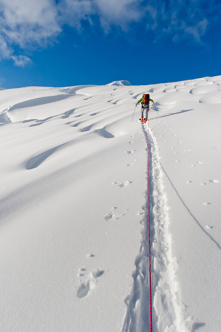 Skier Breaks Trail And Leads Rope Team From A 8000-Foot High Camp On The Triumvirate Glacier To The Torbert Plateau To Climb Mount Torbert, Tordrillo Mountains, Winter In Southcentral Alaska