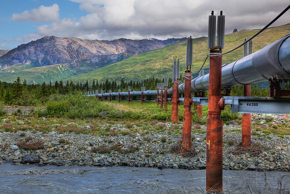 View Of The Alyeska Pipeline Crossing A River Along The Richardson Highway North Of Paxson, Southcentral Alaska, Summer, Hdr