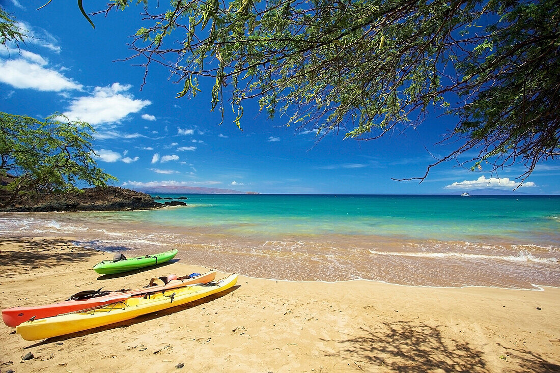 'Kayaks on the beach of an hawaiian island; Hawaii, United States of America'