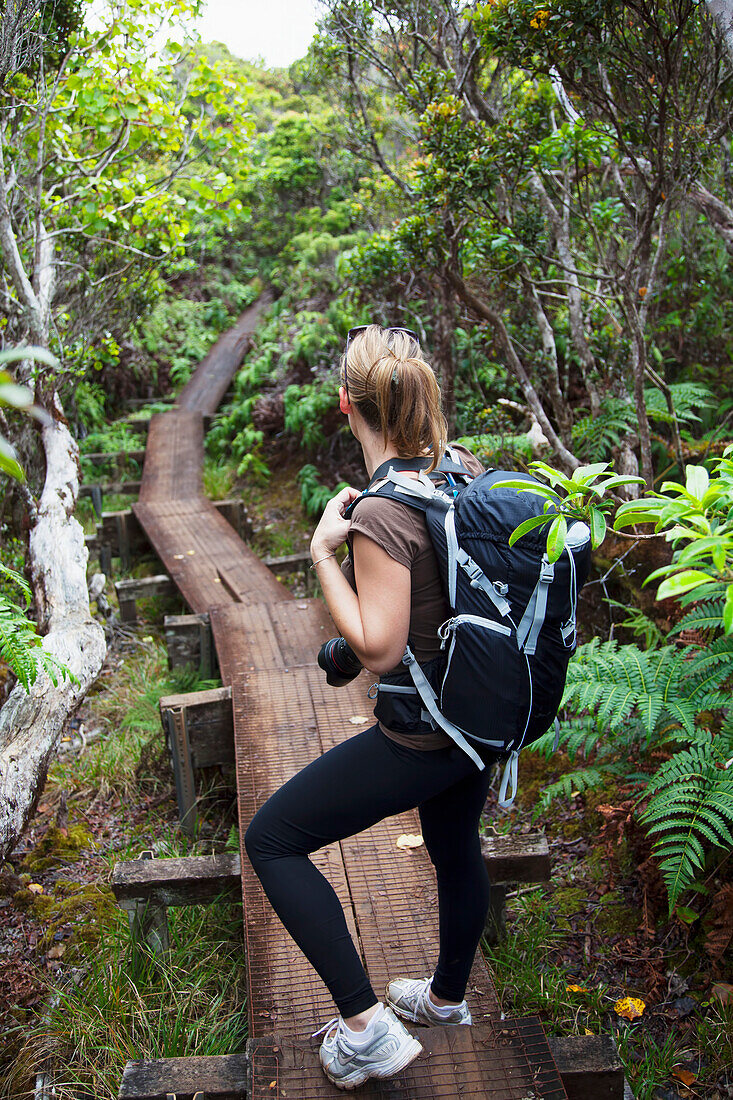 'Female hiker on Alakai Swamp boardwalk; Kauai, Hawaii, United States of America'