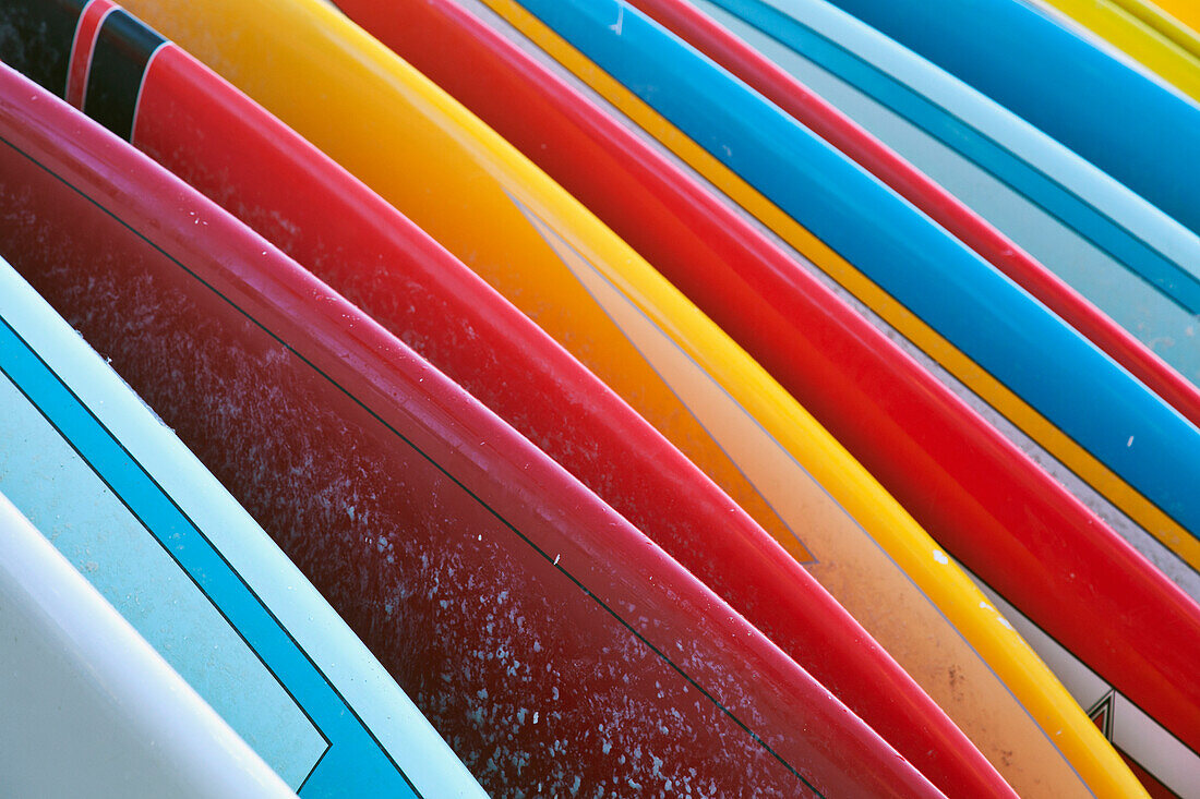 'Close up of coloured surfboards lined up; Honolulu, Oahu, Hawaii, United States of America'