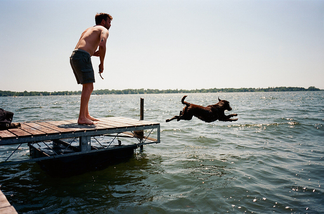 Young man watching pet dog jumping from pier into water