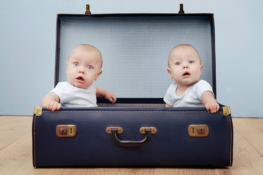 Two baby boys sitting in suitcase, portrait