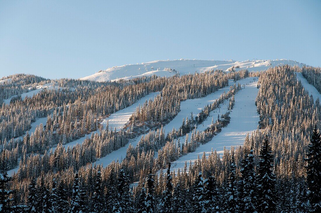 Canada, BC, Kamloops, Sun Peaks Resort. Late afternoon light on the ski slopes.