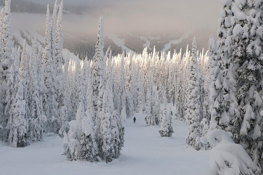 Canada, BC, Kamloops, Sun Peaks Resort. Ski slopes on the Mount Morrisey section of the Sun Peaks Resort.