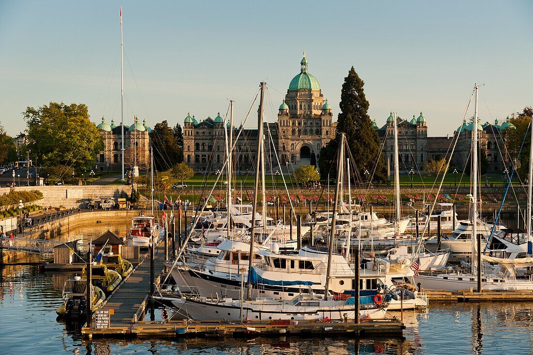 Canada, BC, Victoria. Yachts and pleasure boats moored in the inner harbour marina. The British Columbia parliament buildings in the background.