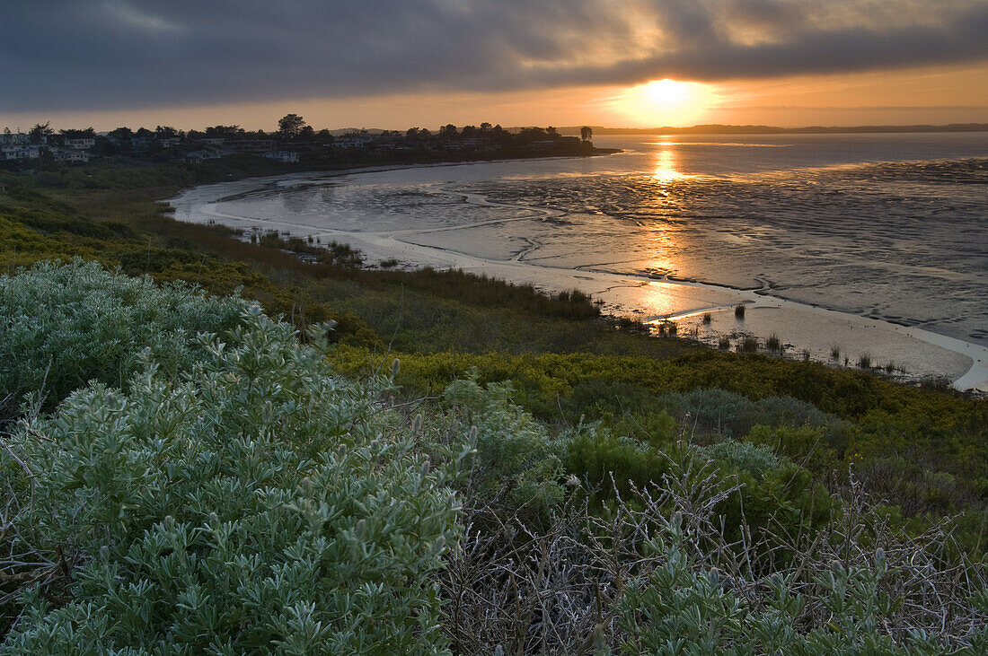 Fog at sunset over the Elfin Forest and tidal mud flats of Morro Bay, California.