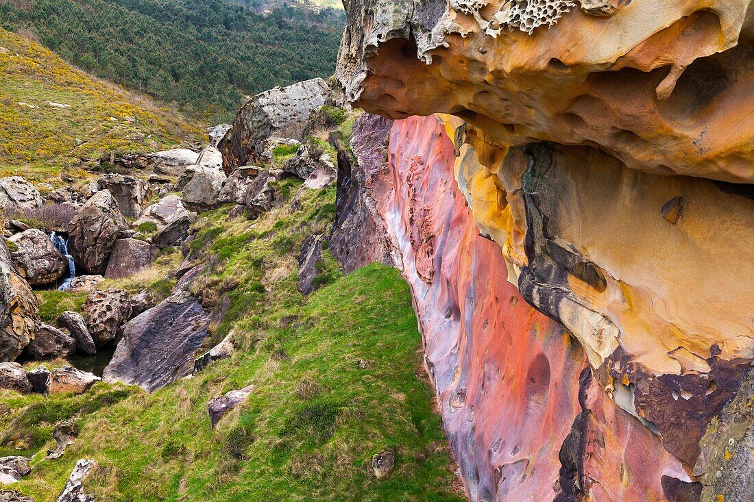 Jaizkibel, Gipuzkoa, Basque Country, Spain, Europe.