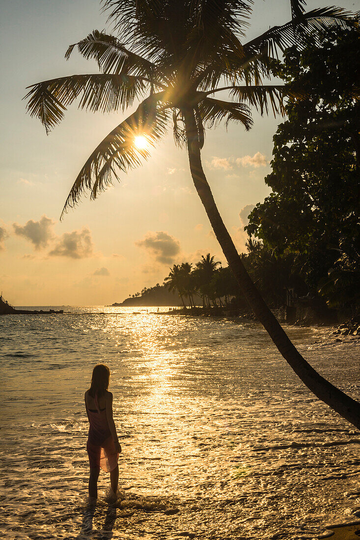 A woman underneath a palm tree on Mirissa Beach at sunset, South Coast of Sri Lanka, Southern Province, Sri Lanka, Asia