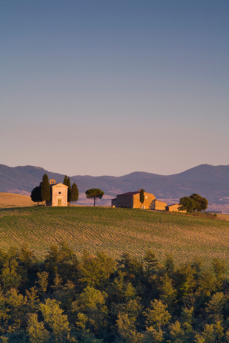 Iconic Tuscan Farmhouse, Val d' Orcia, UNESCO World Heritage Site, Tuscany, Italy, Europe
