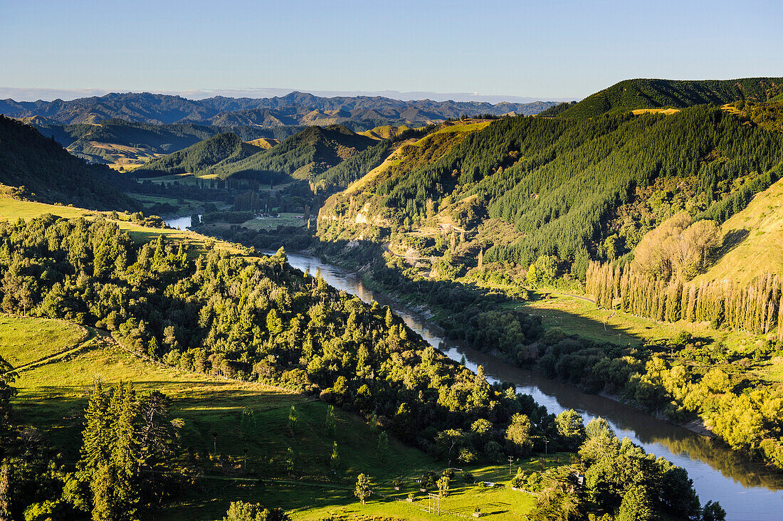 View over the Whanganui River in the lush green countryside, Whanganui River road, North Island, New Zealand, Pacific