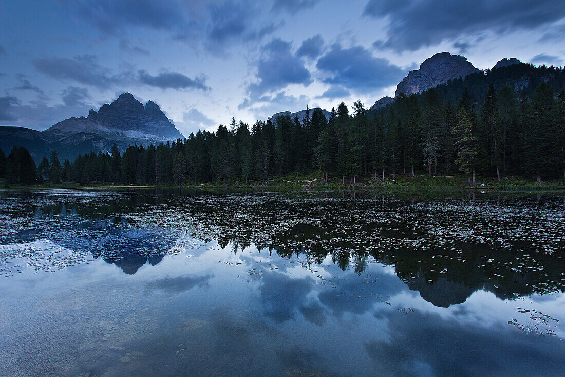 Blue hour on Antorno's lake with trees and dolomites reflecting in the waters, Dolomites, Veneto, Italy