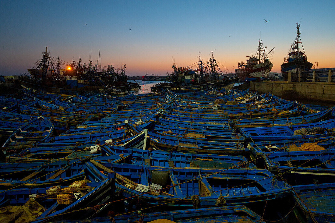 The typical blue portoguese boats of the port of Essaouira at dusk under a blueish sky, Essaouira, Morocco