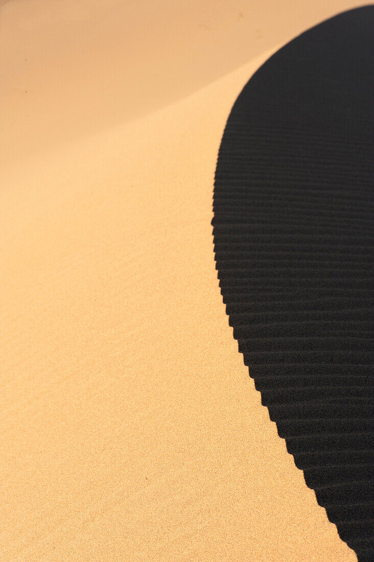 Curve shape of lights and shadows at sunset on the top of a high sand dunes in the Sahara desert, Morocco