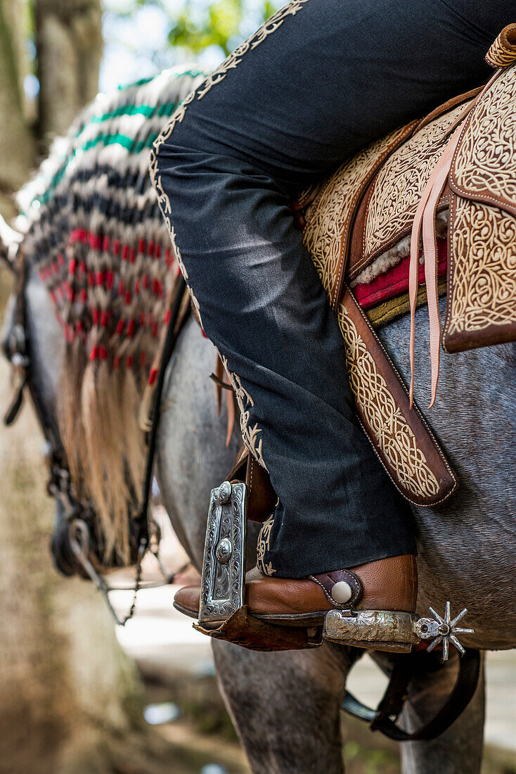 Caucasian man riding horse, Sayulita, Nayarit, Mexico